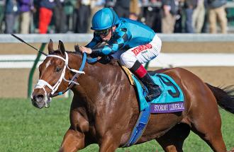 Stormy Liberal wins the Breeders' Cup Turf Sprint at Churchill Downs